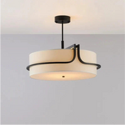 Modern Radiation Pendant Light